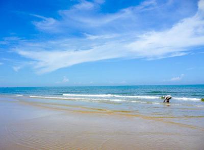 bai bien chi linh ami2